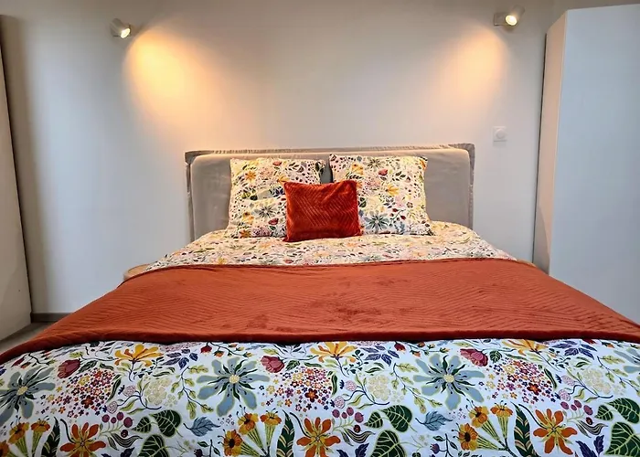Duplex Renove A 15 Min De Strasbourg