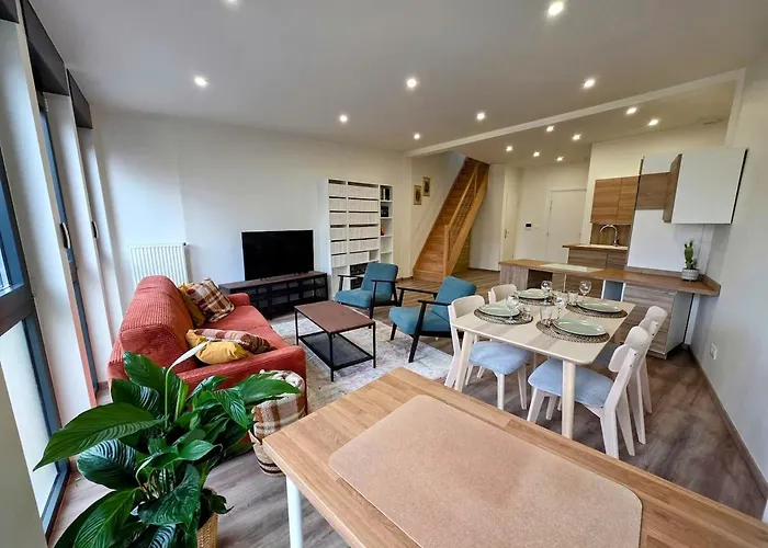 Duplex Renove A 15 Min De Strasbourg Schiltigheim