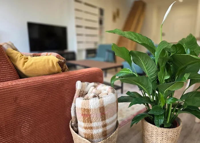 Duplex Renove A 15 Min De Strasbourg * Schiltigheim